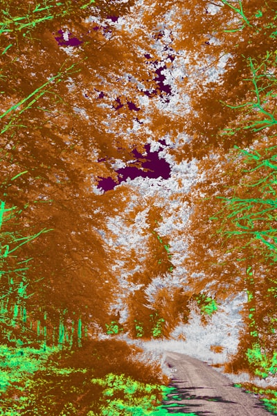 Cómo identificar imágenes sintéticas mediante correlaciones entre canales