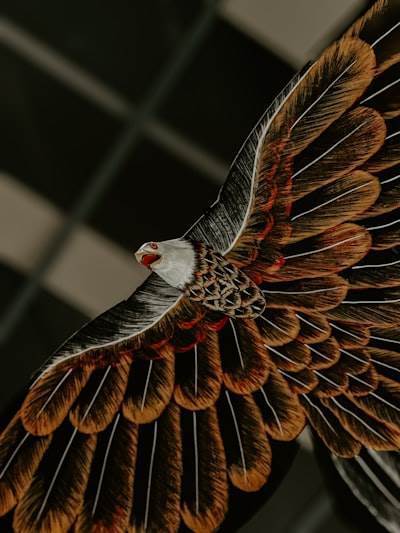 Reingeniería del entrega de software con IA en Devoxx