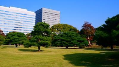 Mejores empresas de desarrollo de software en Totana.