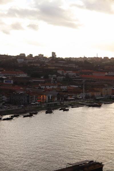 Los 15 mejores expertos en inteligencia empresarial en Ribeira