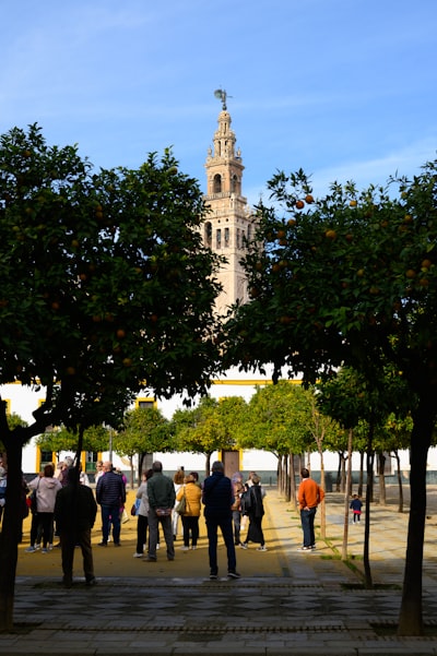 20 expertos en IA para resumir documentos en Sevilla