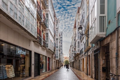 Mejores empresas para bots en Burgos