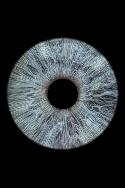 Segmentación y cuantificación de la retina: un enfoque general