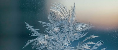 Cómo ver Frost Fatales 2026, que comienza el 8 de marzo