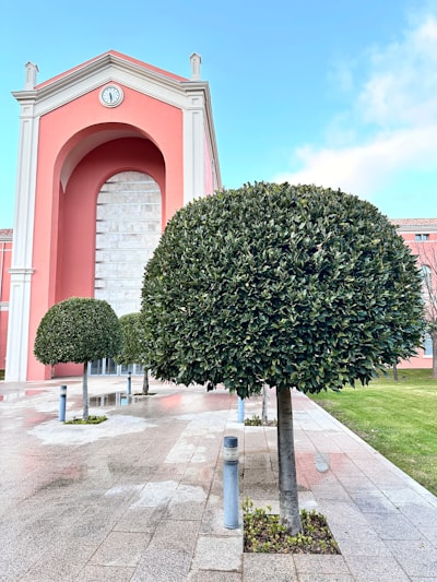 Top 20 Expertos en aplicaciones personalizadas en Logroño