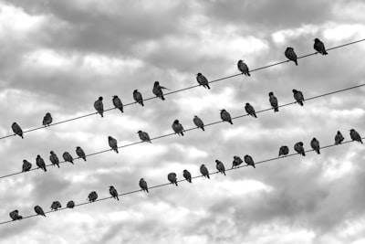 Optimización de la trayectoria de liderazgo con aprendizaje por refuerzo