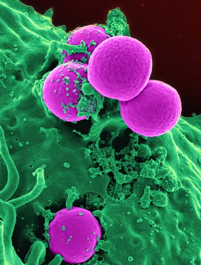 Antimeméticos: Guía esencial de campo