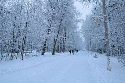 Los Juegos Olímpicos de Invierno de 2026 impactarán la nieve.