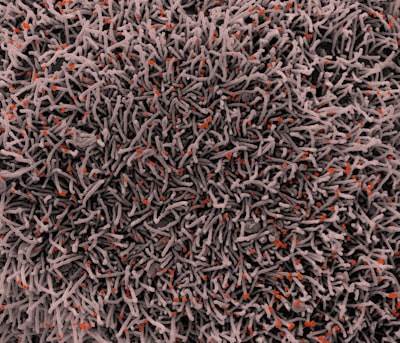 Improved Adhesion and Permeation with Bio-Responsive Microstructured Polymeric Matrices for Transdermal Drug Delivery