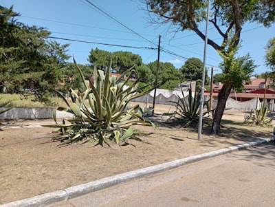 Solución: Centralita AI en San Vicente del Raspeig