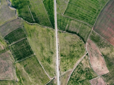 Recuperación única de mapas de transporte y campos vectoriales