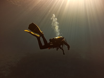 Fugas de memoria en Jetpack Compose: Explorando el grafo de referencias