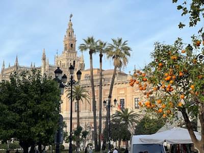 Aplicaciones en Sevilla