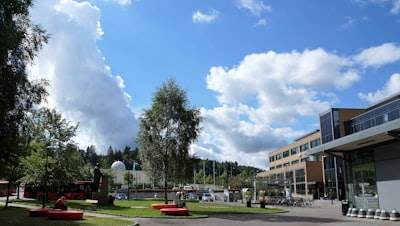 Las 20 mejores empresas de IA en Elche
