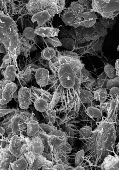 Principales patrones de microservicios