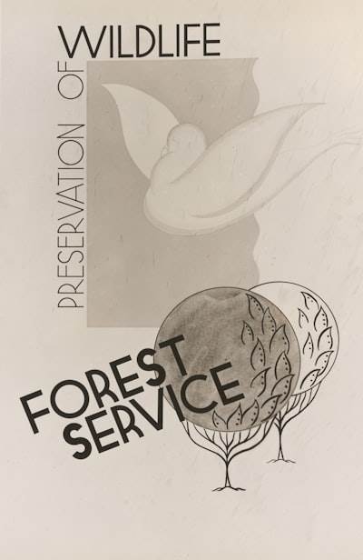 Servicios Profesionales de Aplicación en Berriozar