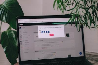¿Colaboración de varios usuarios con Bots de SEO?