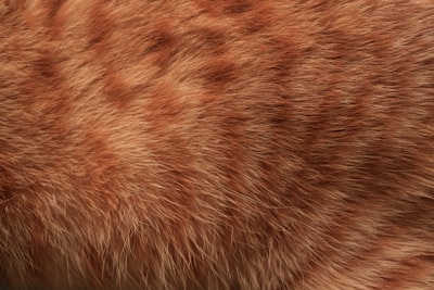 Consejos clave para dominar el efecto fuzzy skin