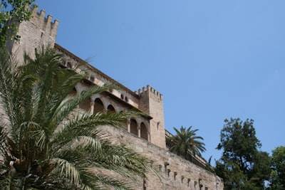 Los 15 mejores expertos en Power BI en Palma