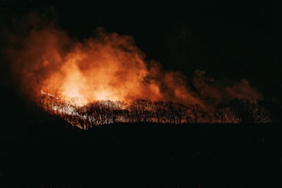 Mining Self-Supervised Temporal Patterns for Wildfire Evacuation Logistics Networks under Real-Time Policy Constraints