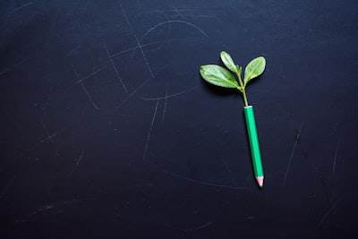 IA en la educación: Herramientas para el éxito estudiantil