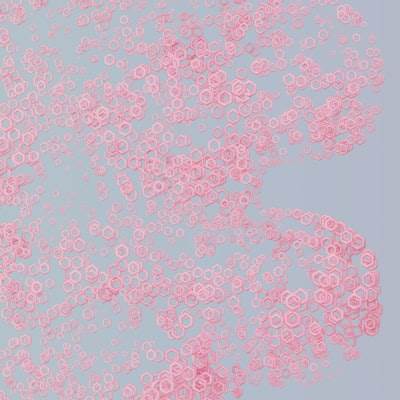 Codificando un Árbol Fraccional con JavaScript y HTML5