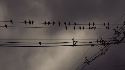 La Nueva Red: IA, Agentes y el DevOps del Control
