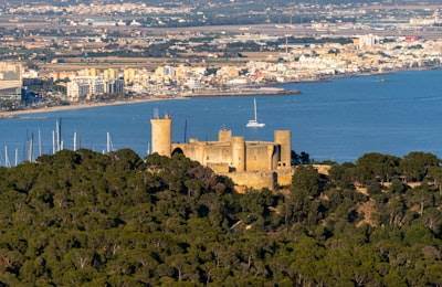 Principales expertos en consultoría de n8n en Palma