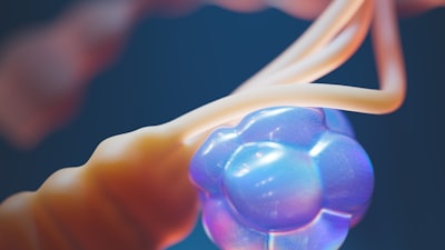 Model IA estratifica risc i guia tractament en hepatocarcinoma