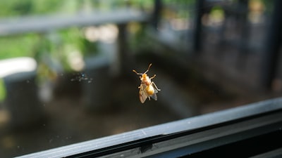 Errores en la actualización de Windows 2026: Outlook se congela, errores de aplicaciones y cómo arreglarlos