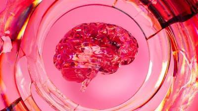 Cómo los científicos de datos pueden aprender de la neurociencia