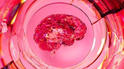 Lo que los científicos de datos pueden aprender de la neurociencia