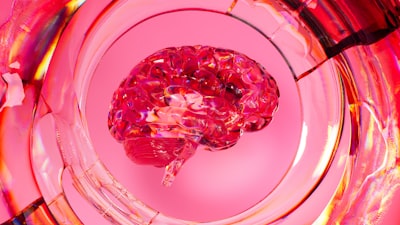 Extracción de la red cerebral en la enfermedad de Alzheimer