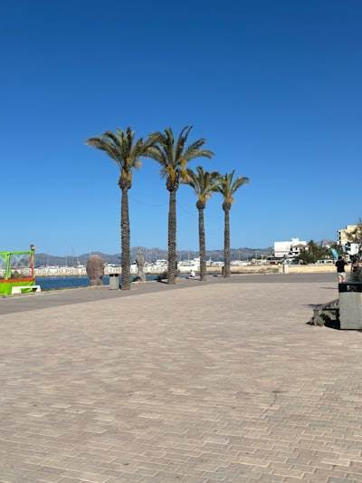 Servicios de automatización en Ibiza