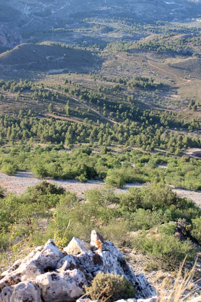 Top 5 Expertos en migrar extensiones de JDE a la web moderna en Murcia 2026