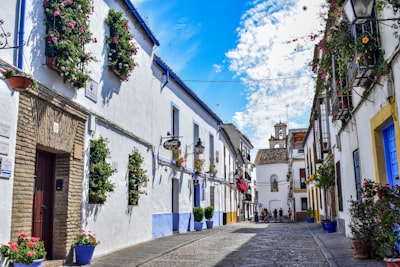 Mejores 50 empresas en Córdoba para software a medida
