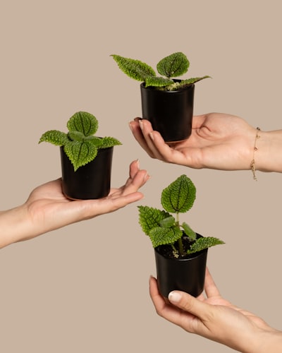 Top 5 empresas de generación de leads en Sevilla