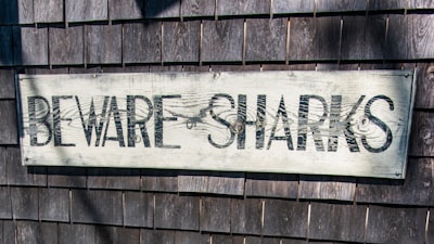 ¿Es hora de implementar SharePoint AI en Teams?