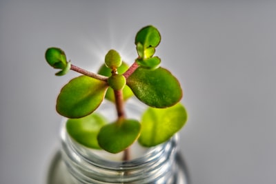 Top 5 Especialistas en Automatización de Nutrición de Leads en Sevilla