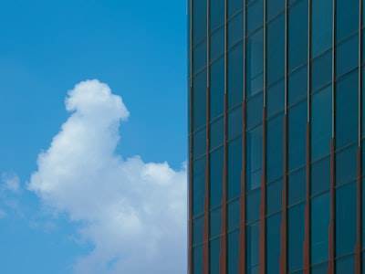 ¿Tally On Premise Vs Tally On Cloud: ¿Cuál elegir para tu negocio?