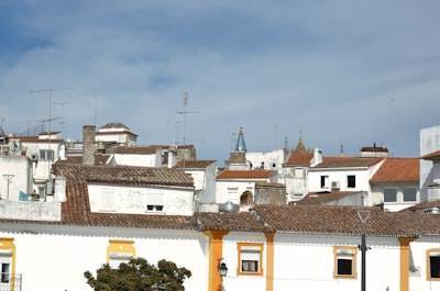 Top 5 Expertos en la AGENCIA de IA en Fuenlabrada