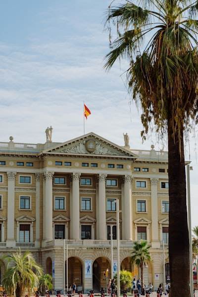 Los 20 mejores expertos en Power BI en Palma