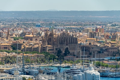Top 15 expertos en agentes de IA financiera en Palma