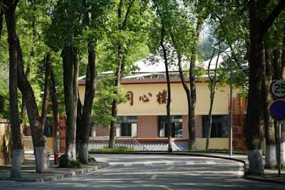 Servicios de Agencia de IA Profesional en Sagunto
