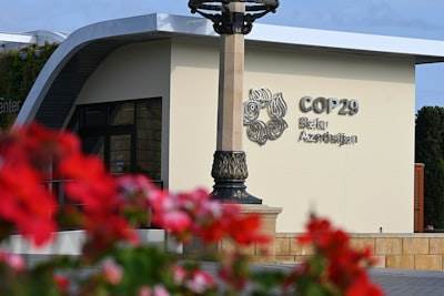 Servicios de inteligencia empresarial en Coslada