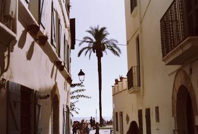 n8n en Ibiza