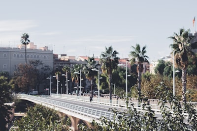 Encuentra desarrollo de paneles en tiempo real en Valencia