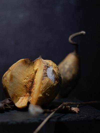 Se lanza Zipper OS Acorn
