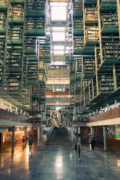 Top 3 empresas para portal de miembros con biblioteca de contenido en Palma 2026