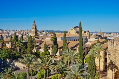 Top 20 Expertos en IA para ventas en Córdoba